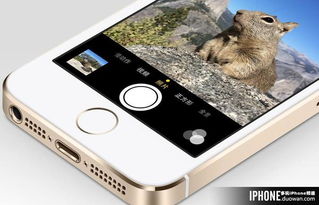 重庆企业进行App软件开发的费用解析