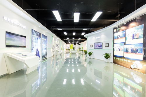 悠果维“女神来了” 探秘高端有机黑莓饮品从种植到生产的一日全景